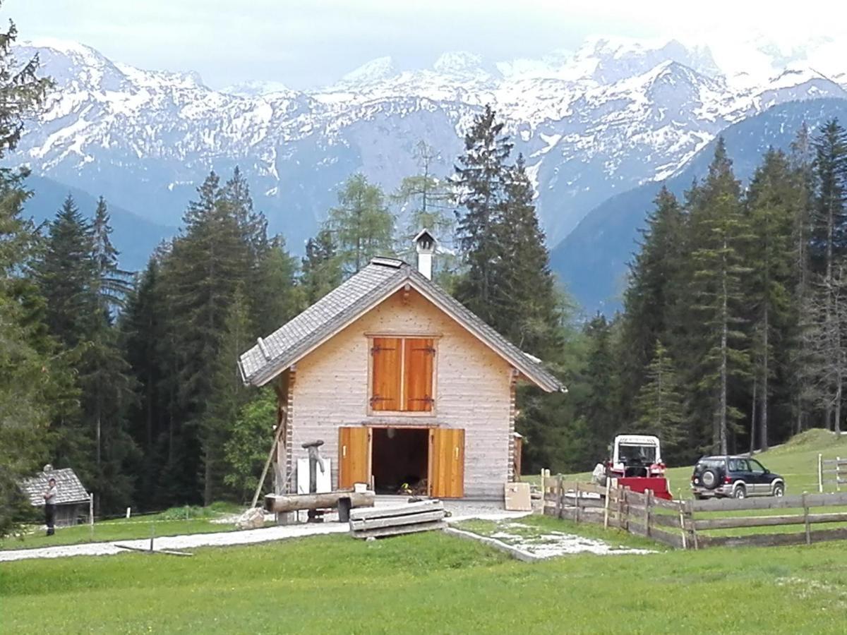 Wohlfuehlapartment Dachsteinblick Bad Goisern Exterior foto