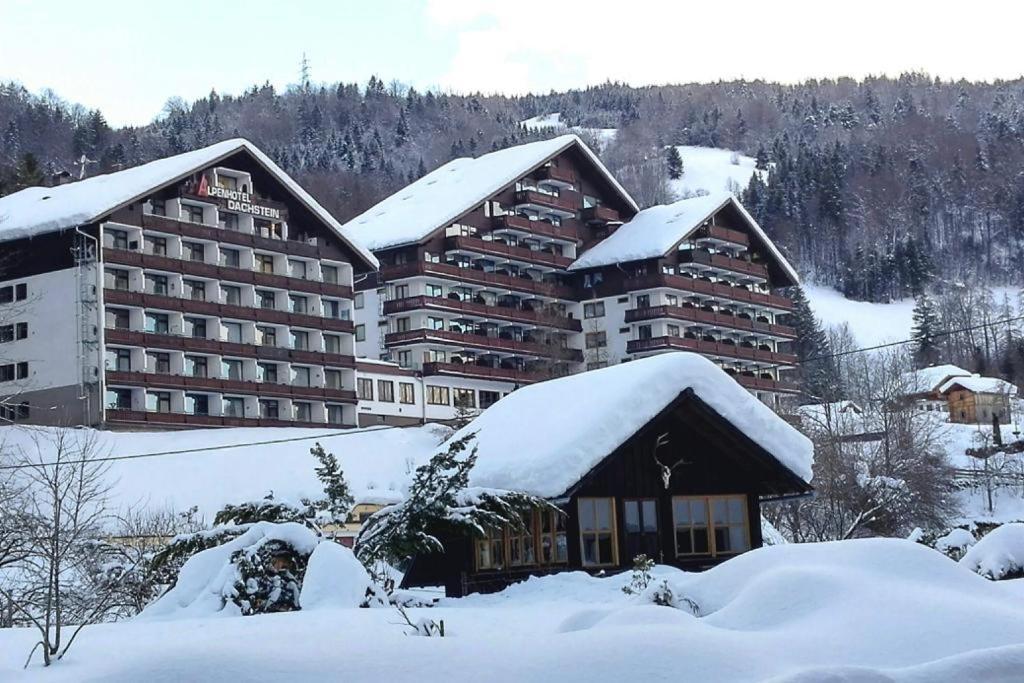 Wohlfuehlapartment Dachsteinblick Bad Goisern Exterior foto